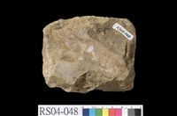 藏品(石灰岩)的圖片